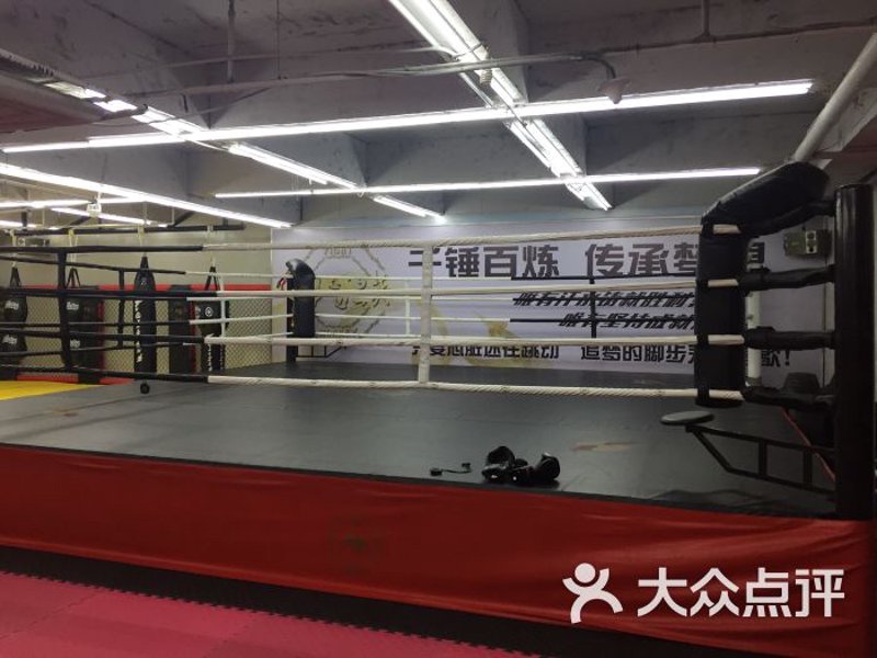 访谈记录：跆拳道教练的职业生涯