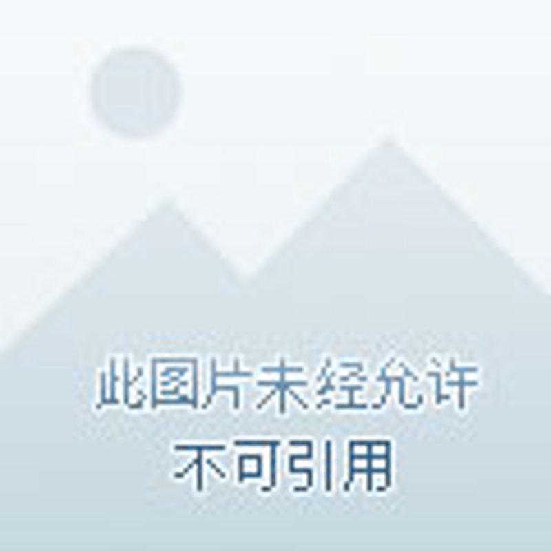 访谈记录：探究体能训练专业的职业道路